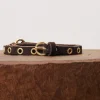 IDITE Brown Belt