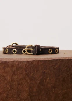 IDITE Brown Belt