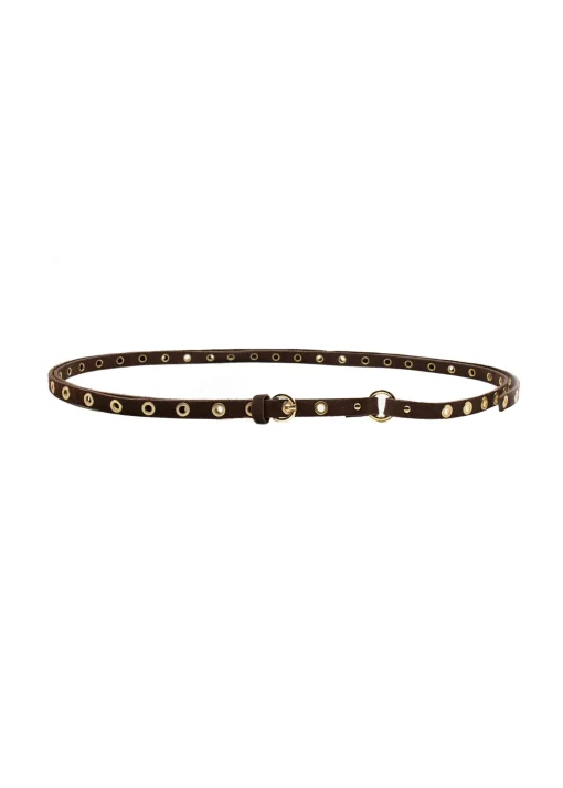 IDITE Brown Belt