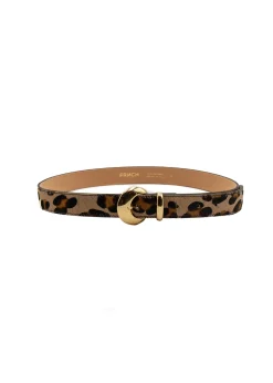 IDORA Brown Belt