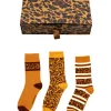 IVETE Brown Socks